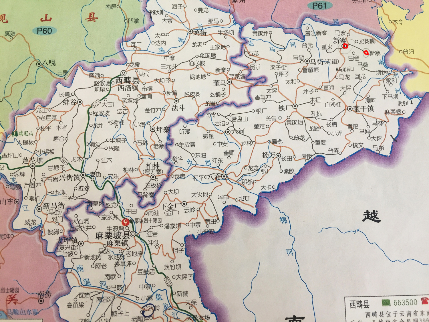 麻栗坡县麻栗镇地图图片